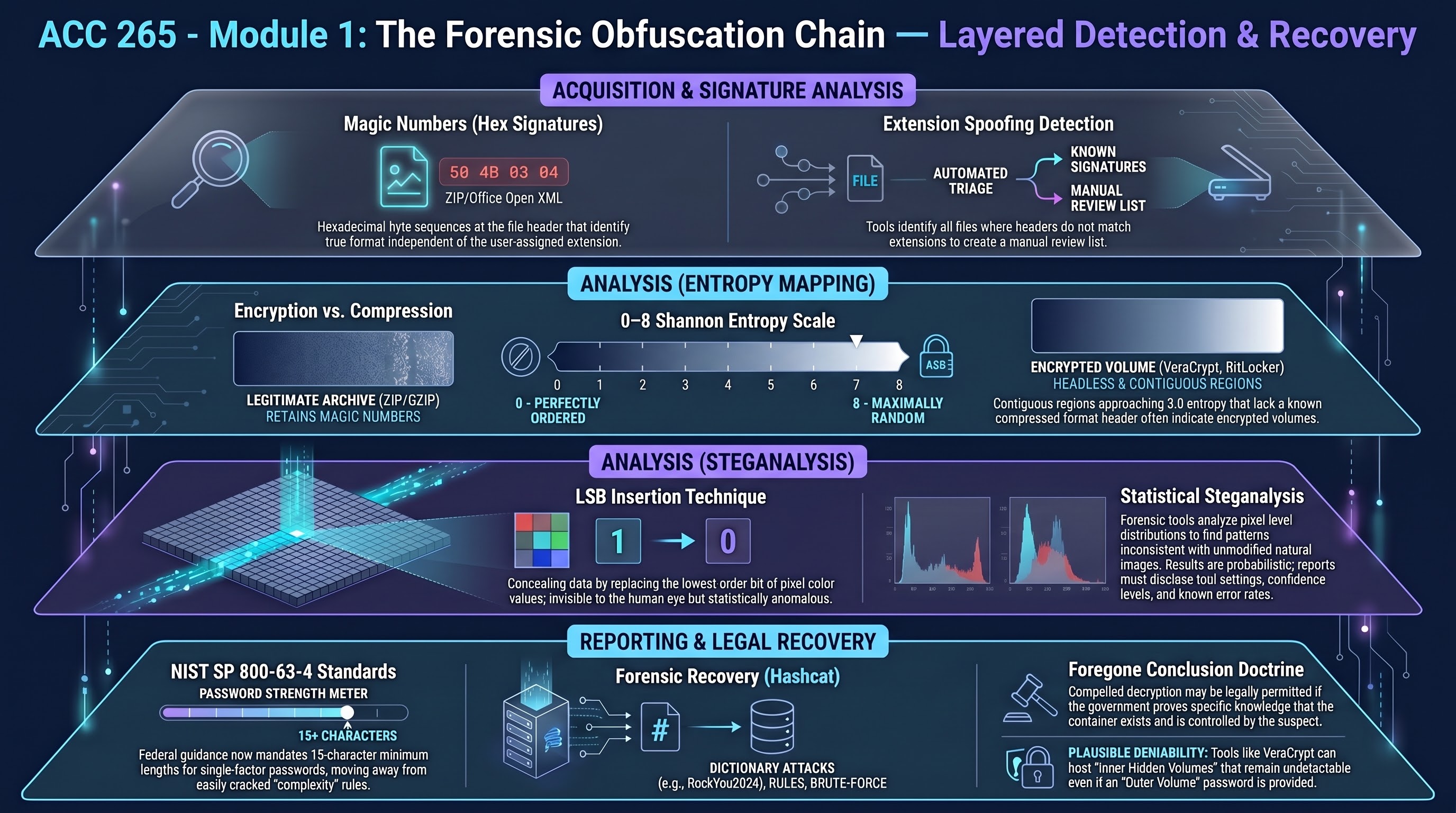 Forensics of Obfuscation: Steganography, Passwords & Decryption